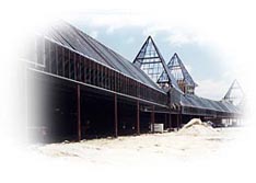 project clarkdietrich